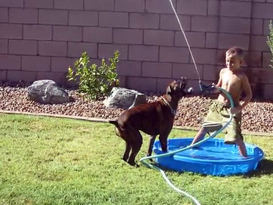 Goodbye Jake the Boxer Dog