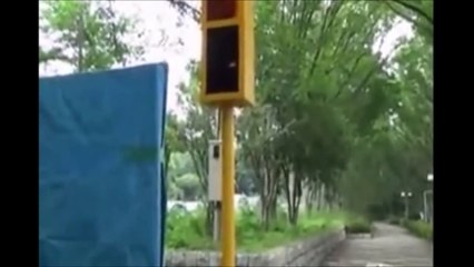 japanese ghost video compilation 34。日本灵异录影汇集34