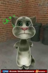 میری زندگی کے مالک، میرے دل پہ یاتھ رکھ دے تیرے آنے کی...-funny cat video