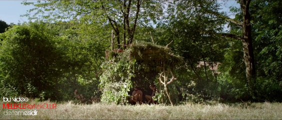 CHILLY GONZALES GREEN'S LEAVES 2015 HD KLİP by MELEKLERerkekOLUR