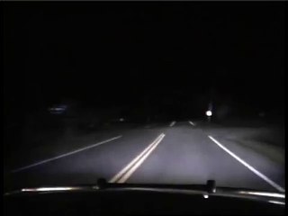 Police car hits deer