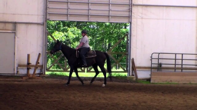 Danielle & Angel Level 2 Freestyle Parelli Audition