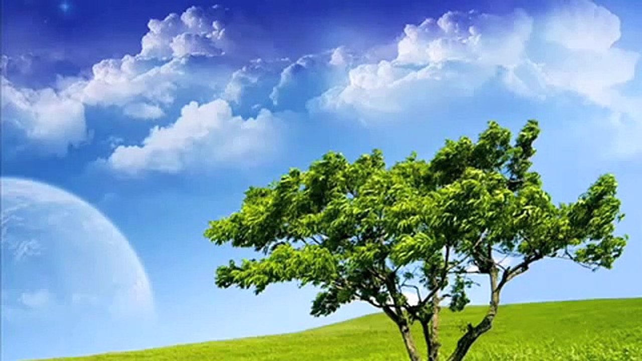 Yusuf Islam 99 Names of Allah