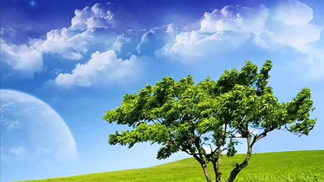 Yusuf Islam 99 Names of Allah