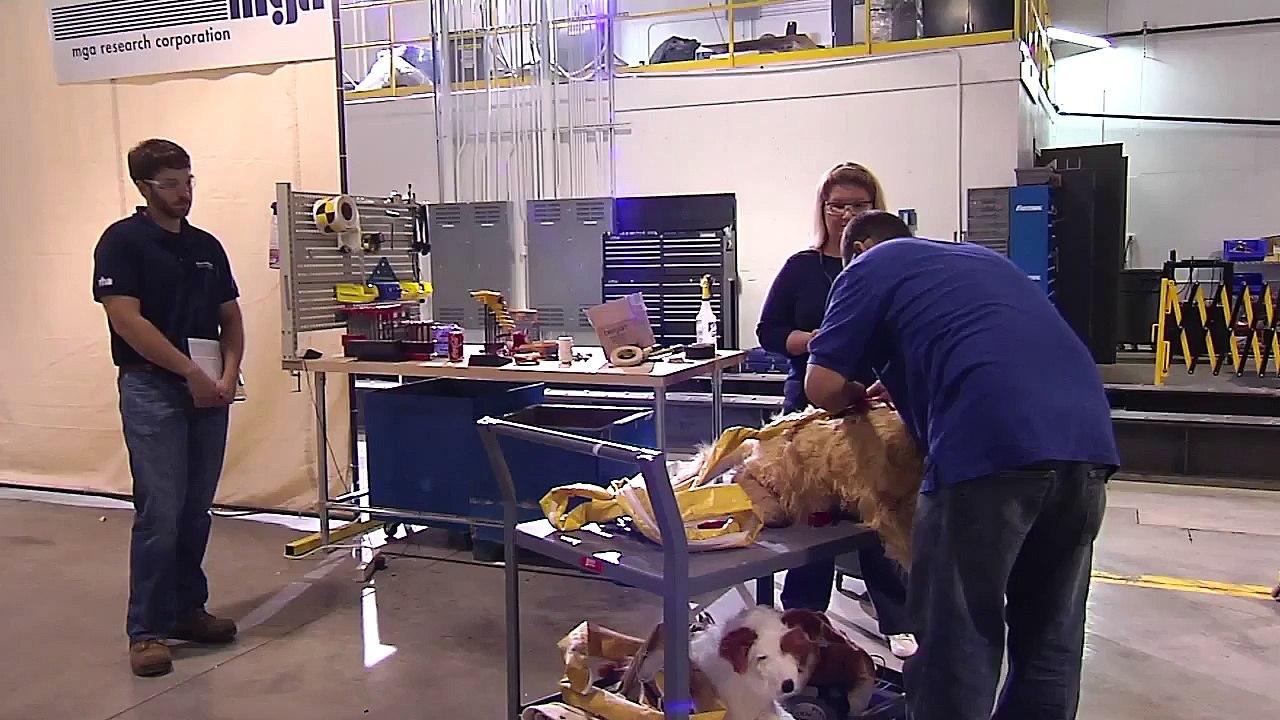 Pet Safety Product Crash Testing Through Partnership With Center for Pet Safety | Subaru of America