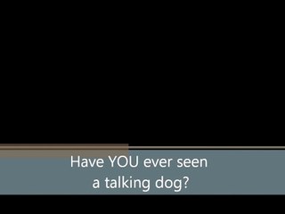 World's FIRST talking DOG