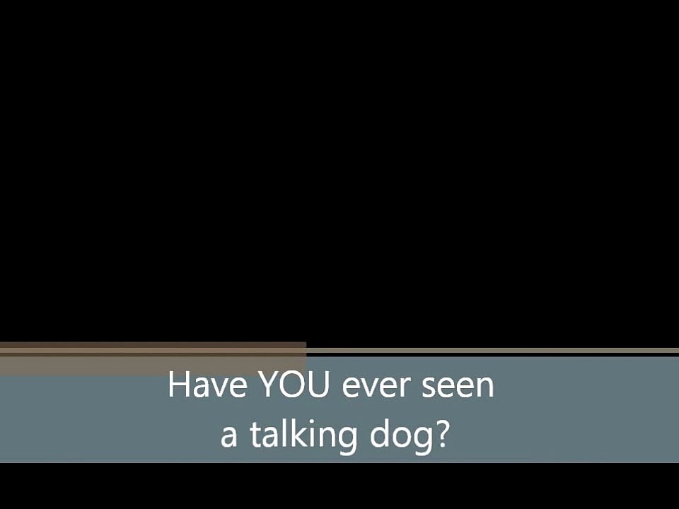 World's FIRST talking DOG