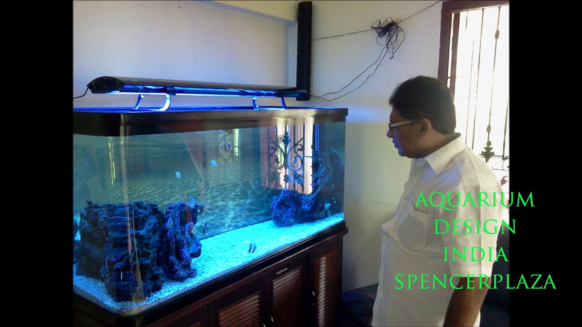 6600 Koleksi Aquarium Design India Gratis Terbaik