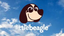 M-058/14 - Filhote de Beagle Bicolor | Canil Little Beagle
