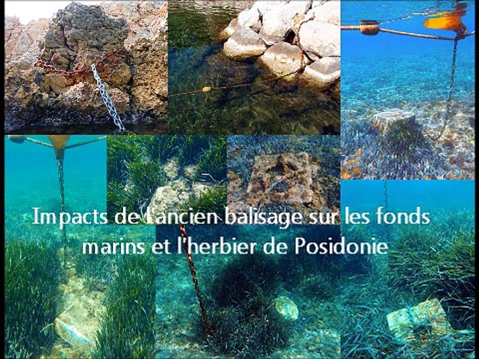 Balisage écologique respectant l'intégrité des habitats marins