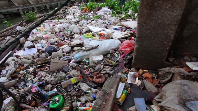 Expédition 7e continent