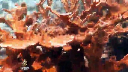 Zaštita podvodnog svijeta Kube