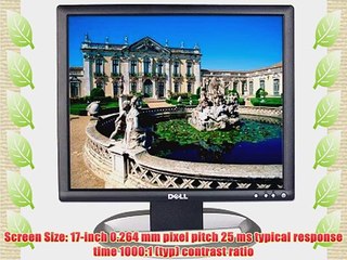 Download Video: 17 Dell TFT LCD DVI/VGA LCD Monitor w/USB Ports (Black)