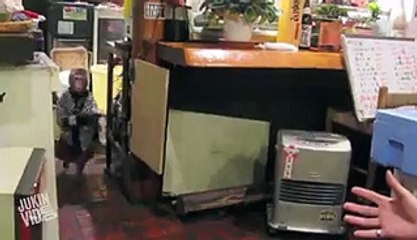 kiran collections JukinVideo - Kayabukiya Tavern - Monkey Server