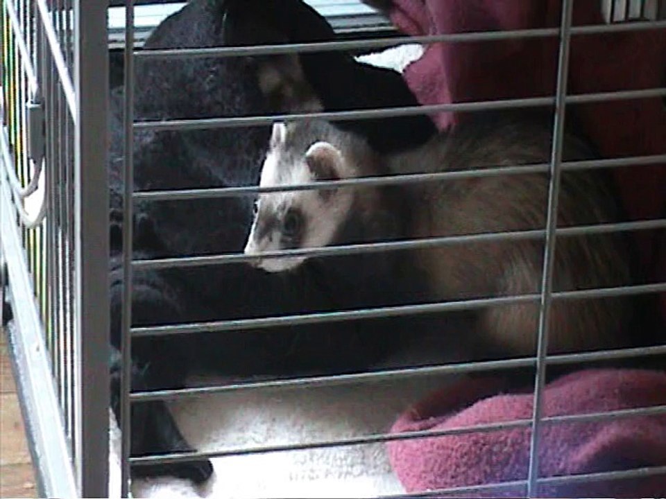 Nana et Tomtom qui joue