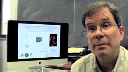 Following Single Molecules to a Better Understanding of Self-assembled ...