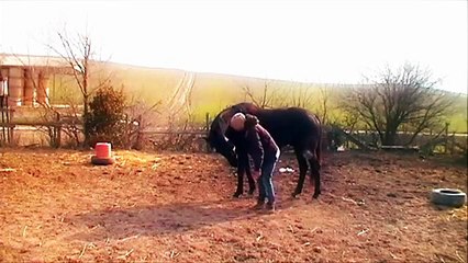 contatto, sdraiarsi ed impennata