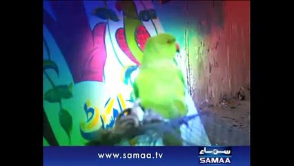 SAMAA Metro, Samaa Metro New year special, Jan 01, 2014