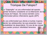Trompas De Falopio Inflamadas: Remedio Natural Para Trompas De Falopio Inflamadas