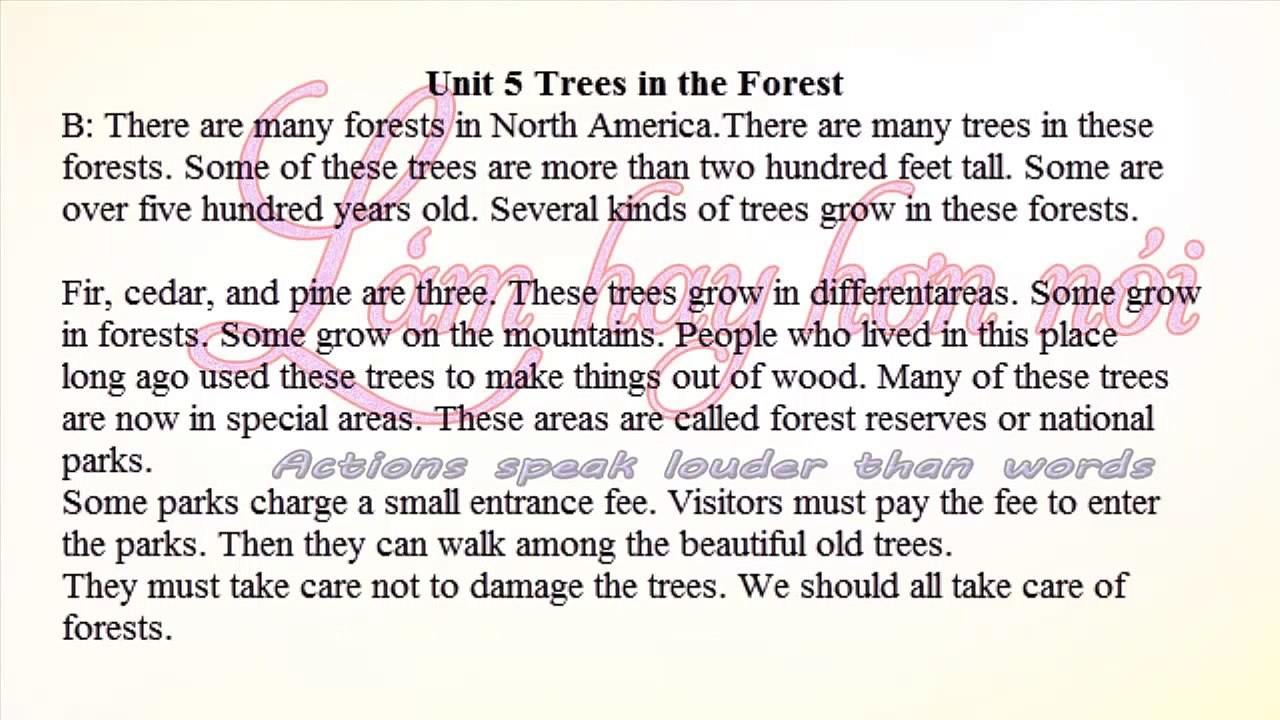 Listening Practice Through Dictation 1 Unit 1 10