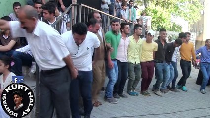 BAŞTAKİ XALOYA SONUNA KADAR DİKKAT  YAKIP YIKIYOR ORTALIĞI