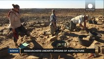 Als die Wüste blühte: Ackerbau vor 14.000 Jahren