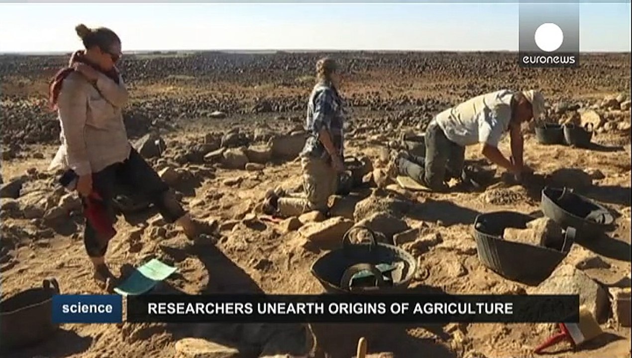 Als die wüste blühte: ackerbau vor 14.000 jahren