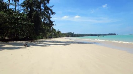 Coconut Beach Khao Lak - Thailand