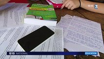 Baccalauréat : les révisions numériques ont la cote
