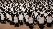 Quand des pingouins se transforment en miroir interactif