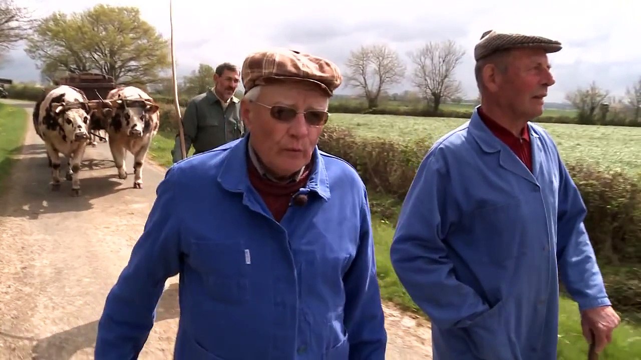 Saint-Jean-de-Mont, les derniers paysans qui chantent à l'oreille des boeufs, Midi en France