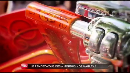 Insolite : des Harley Davidson sur la Côte d'Azur (Emission Turbo du 07/06/2015)