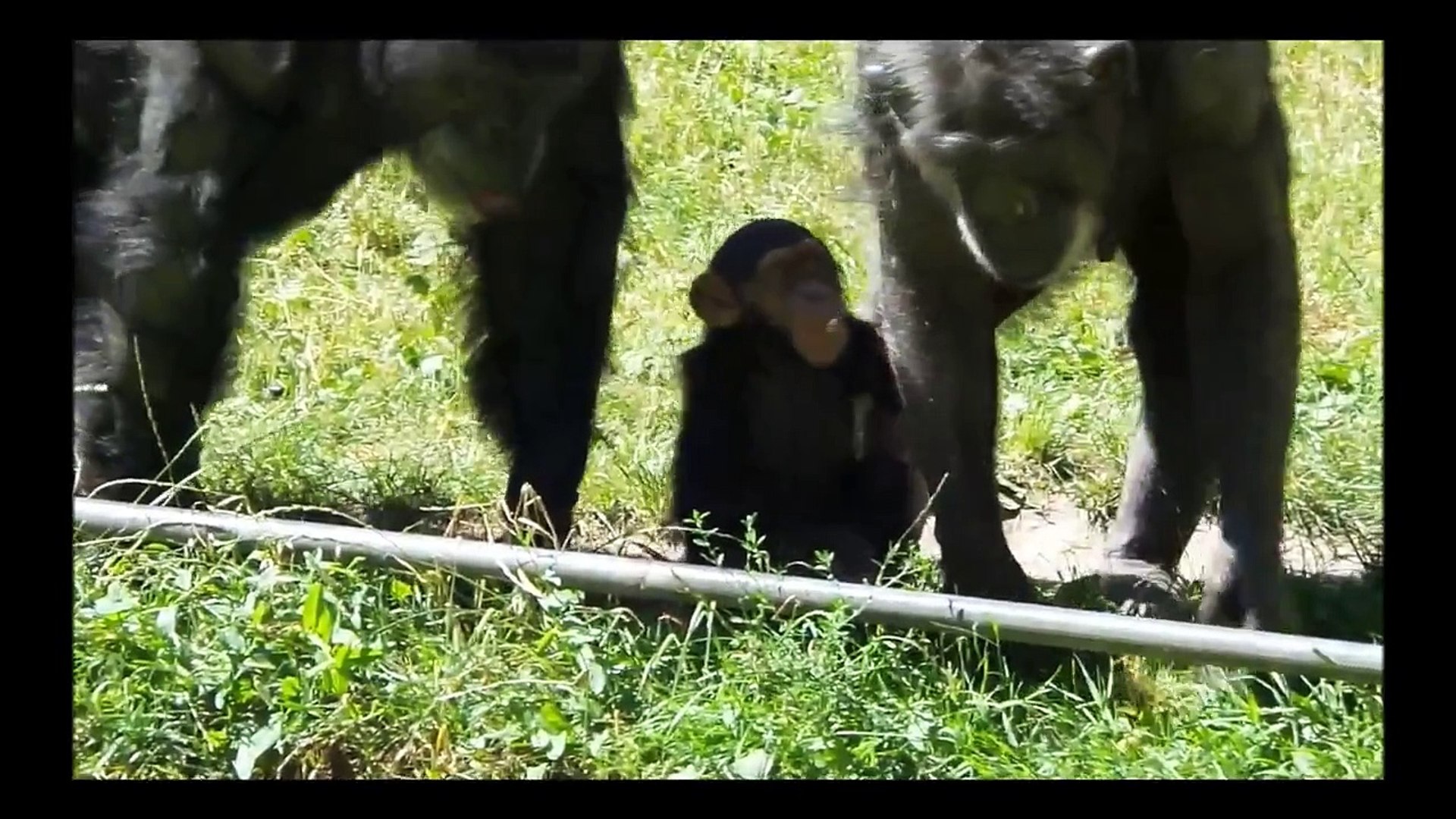 ⁣Ålborg Zoo - Zoo Ålborg Denmark