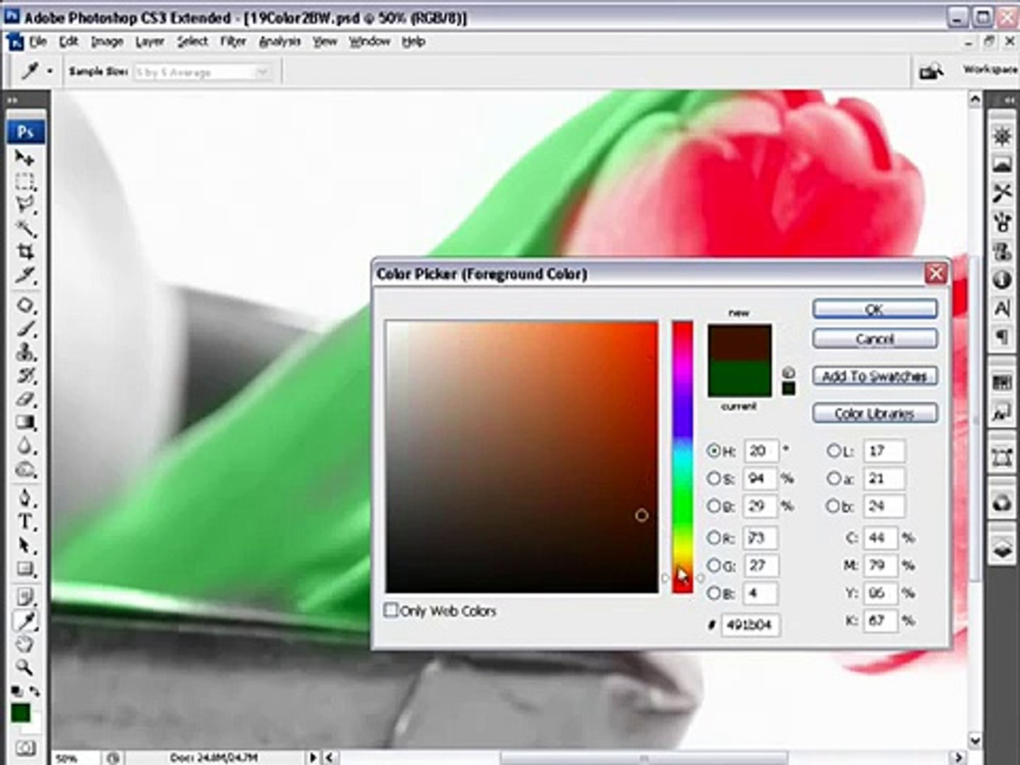 Adobe Photoshop Cs3 Hand Colouring Video Dailymotion
