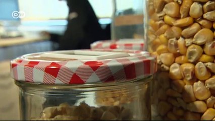 Saving the Harvest | Tomorrow Today