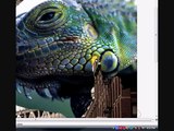 Editing image using layer mask in GIMP