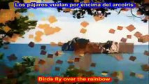 Somewhere Over The Rainbow ( SUBTITULADO  ESPAÑOL INGLES )