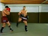 Jerome Le Banner - Spinning back kick