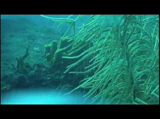 Le Precheur.....en Martinique (HD)