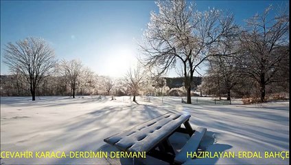CEVAHİR KARACA-DERDİMİN DERMANI