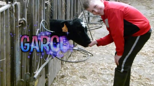 Seb la Frite - Les mots composés chelous