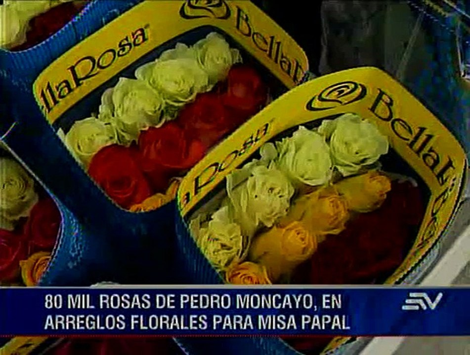 80 mil rosas de exportación adornarán la misa del papa Francisco en Quito