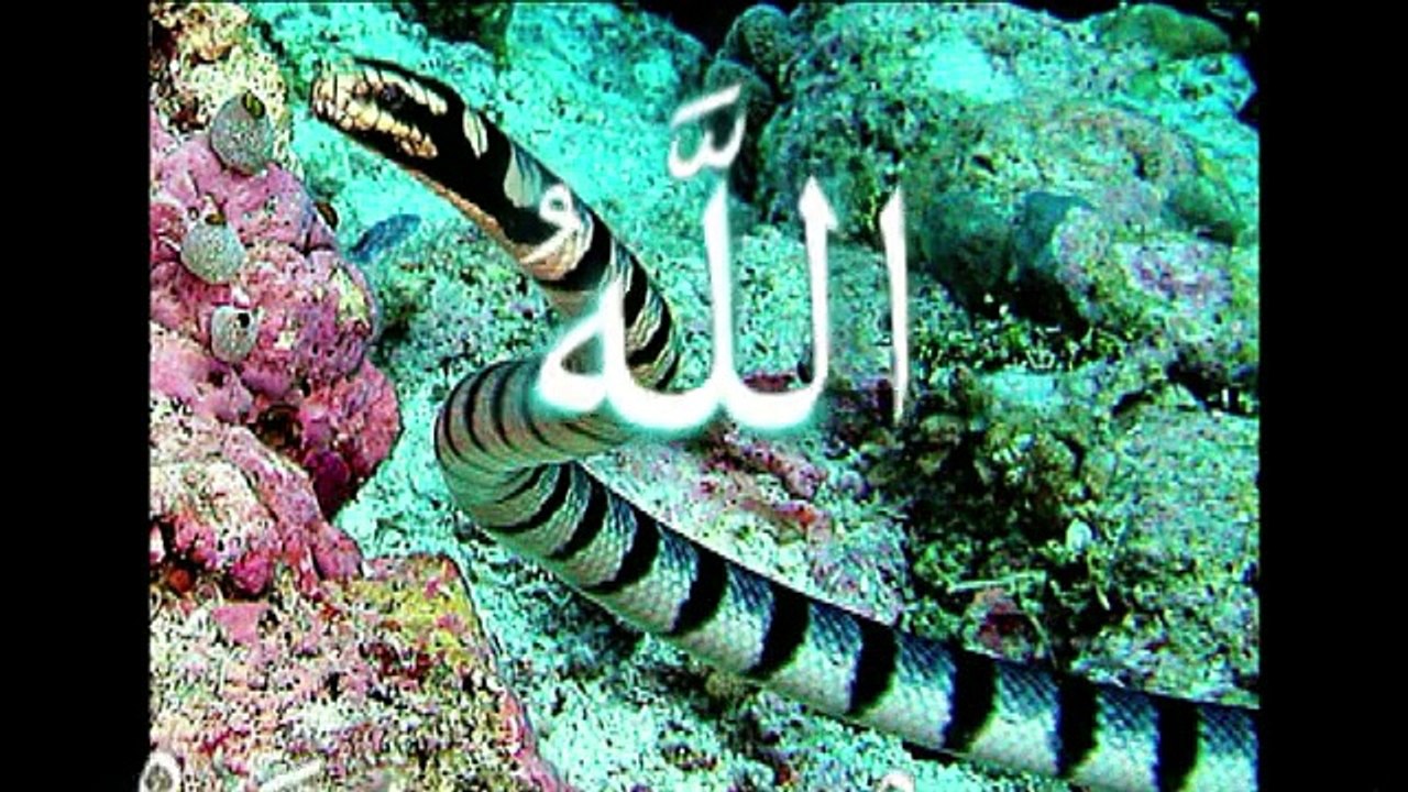 He Is The Almighty Allah معرفة الله تعالى تبدأ بالتفكر في آياته