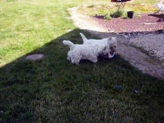 07.06.2015 Nouveau jeu