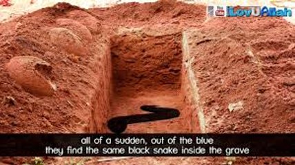 Snake In The Graveᴴᴰ ( TRUE Story)