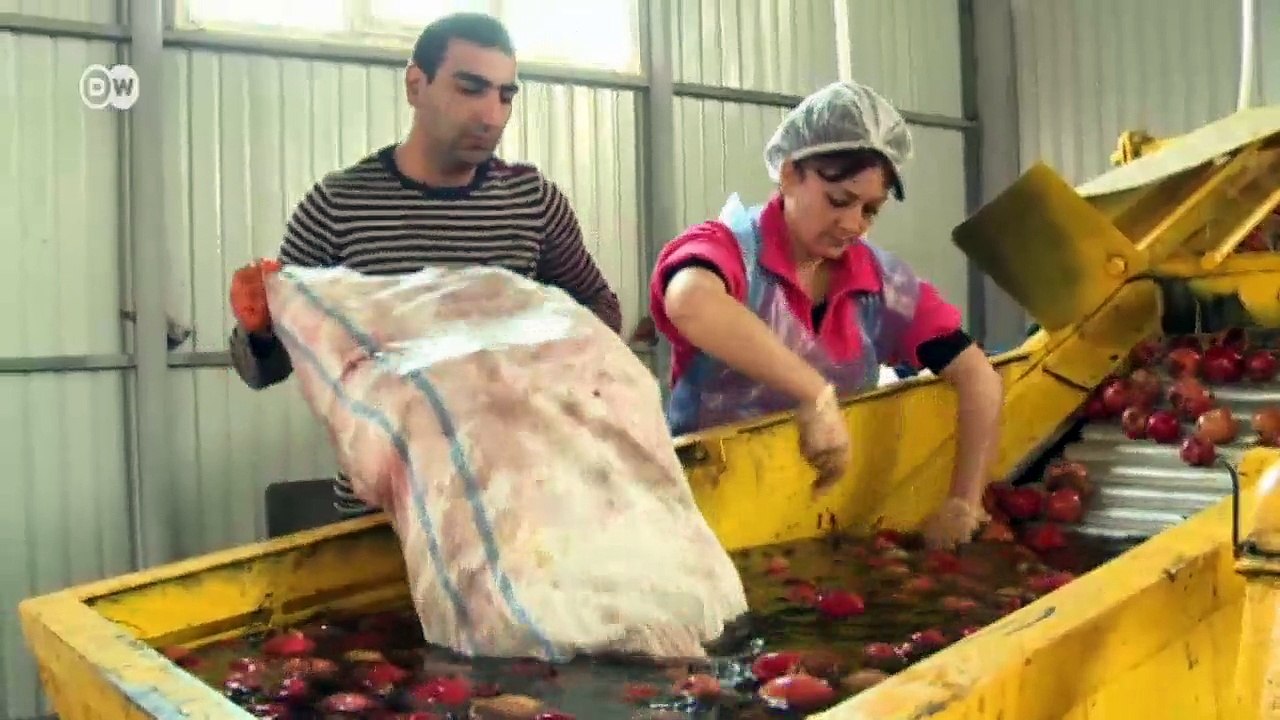 Armenien: fruchtbare Täler, schlechte Straßen | Global 3000