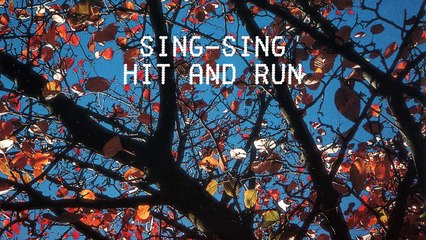 Sing-Sing - Hit And Run