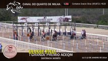 Jockey Club Cearense - 1 Grande Prêmio ACEQM - Grande Final - dia 12 de Janeiro de 2014