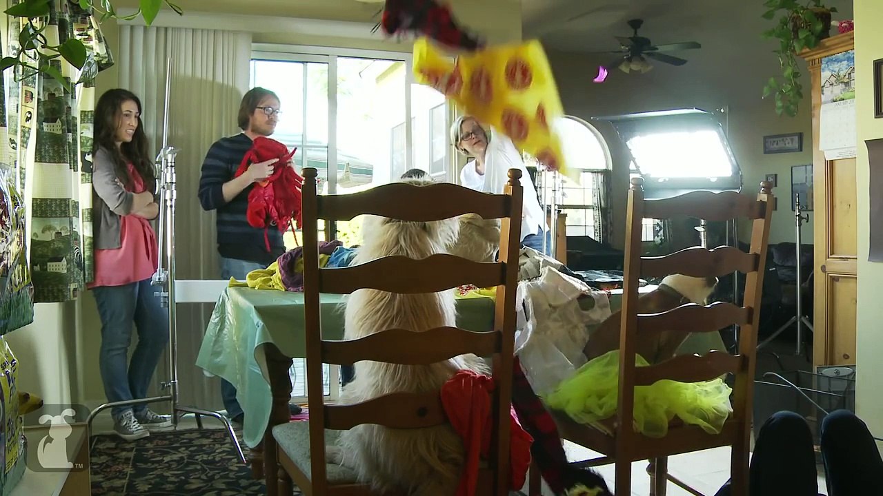 Barklemore Pet Shop - Behind the Scenes - Macklemore - Thrift Shop