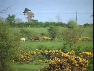 Tony Gormley pt2 - Loughgall Martyrs 20th Anniversary